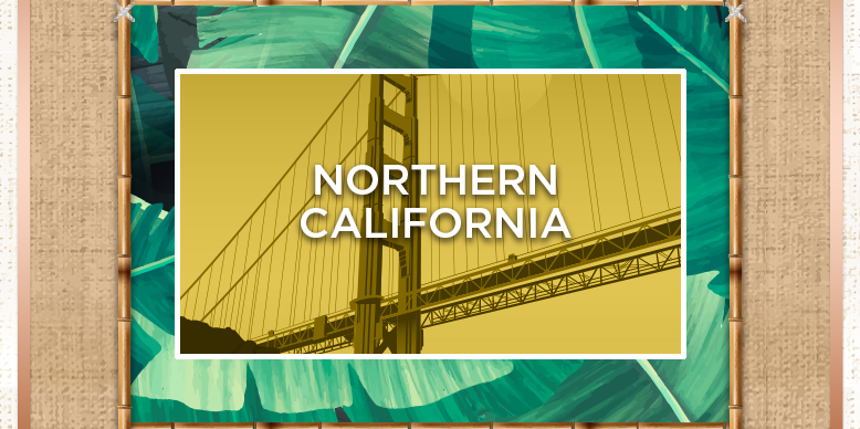 NORTHERN CALIFORNIA