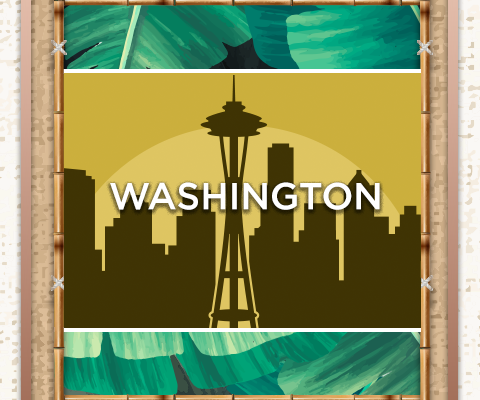 IP Washington Mobile
