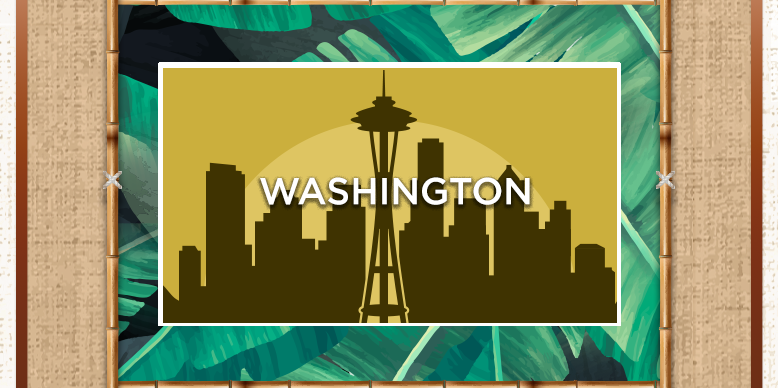 IP Washington Tablet